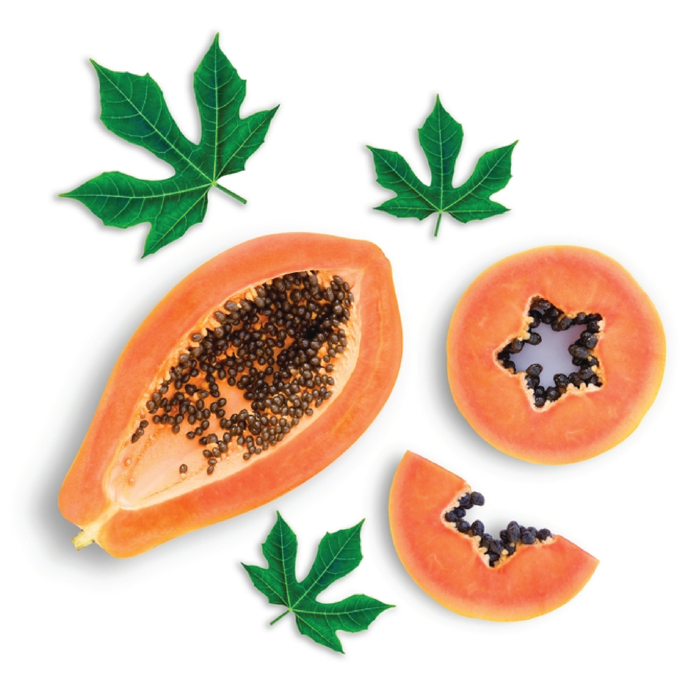 PAPAYA