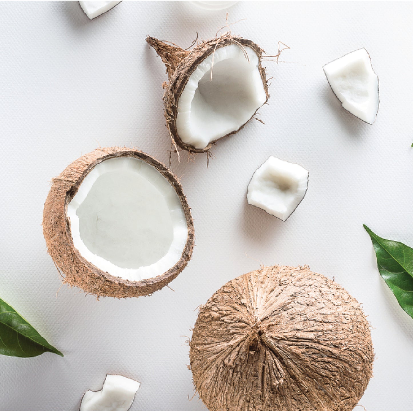 COCONUT - Face and Body Scrubs